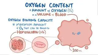 Oxygen binding capacity and oxygen content
