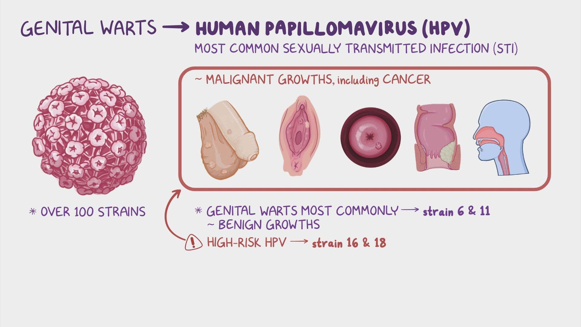 genital-warts-nursing-video-causes-osmosis