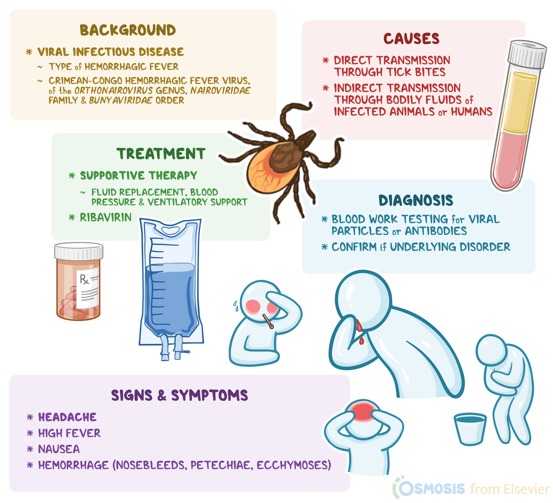 An infographic detailing Crimean-Congo hemorrhagic fever