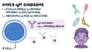 Humoral and b-cell deficiencies Notes: Diagrams & Download PDF | Osmosis