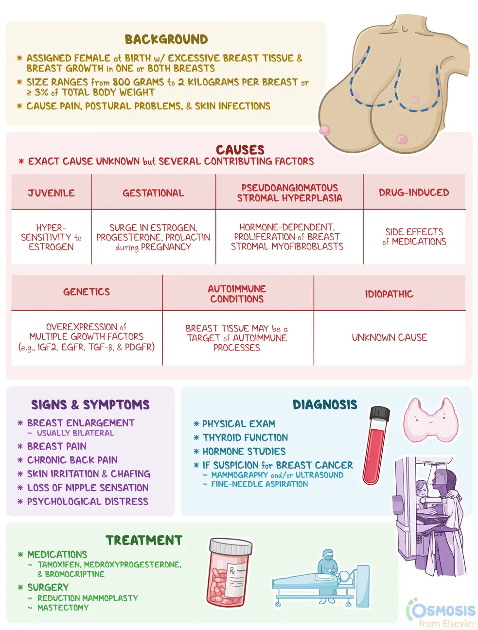 An infographic detailing gigantomastia