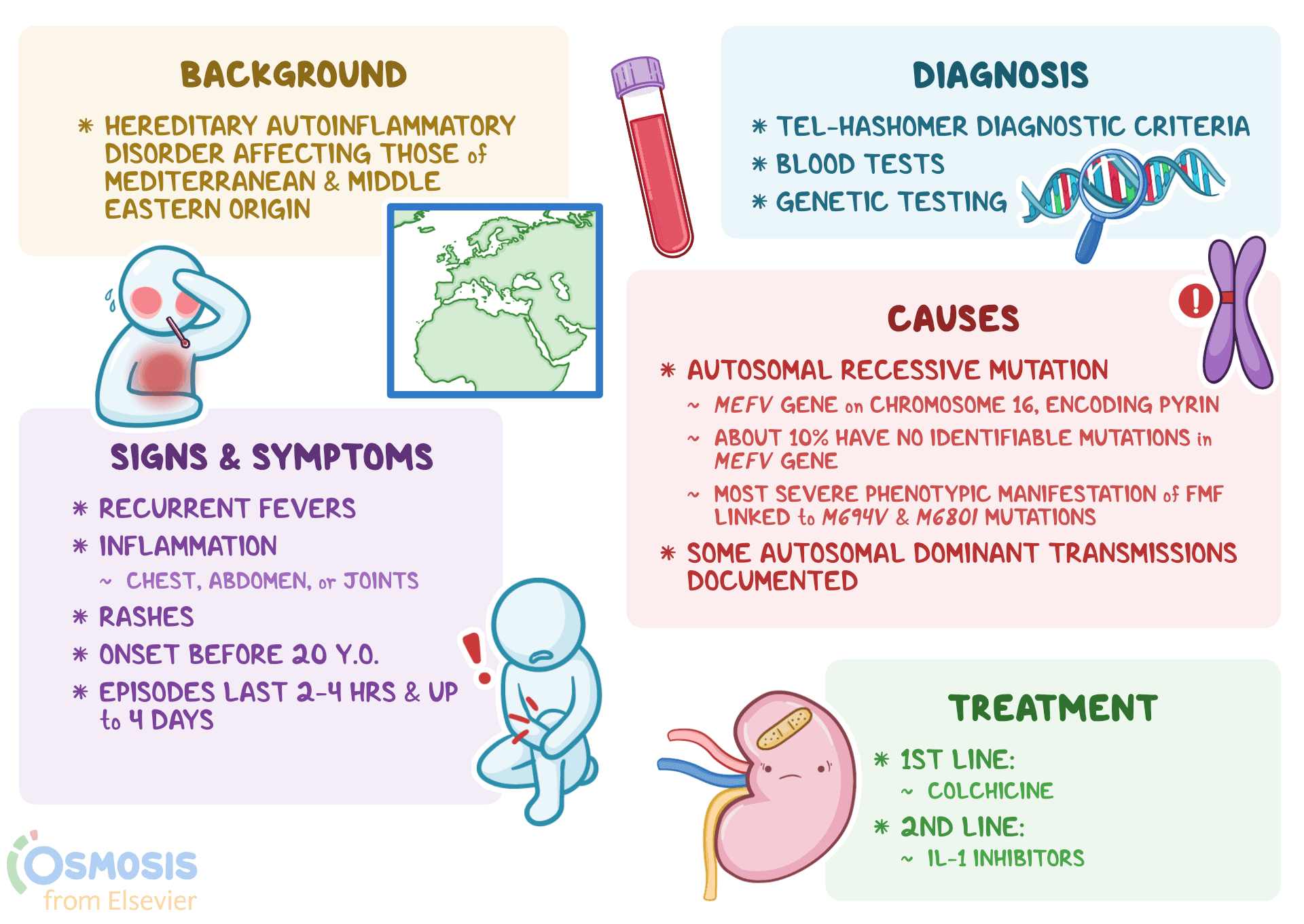 An infographic detailing familial mediterranean fever