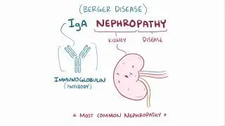 IgA nephropathy (NORD)