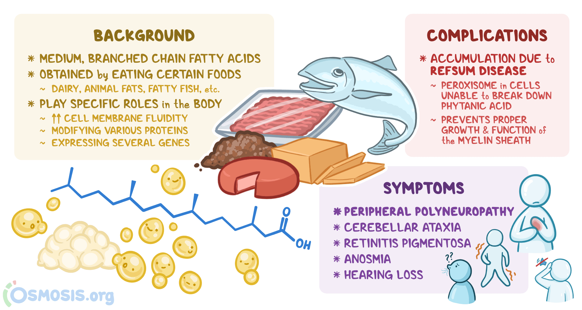 An infographic detailing phytanic acid.