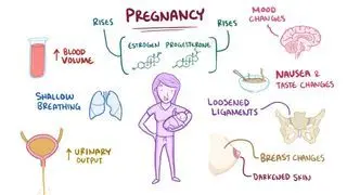 Pregnancy