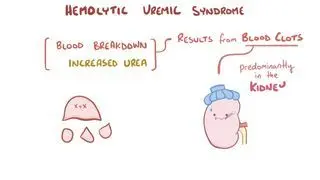 Hemolytic-uremic syndrome
