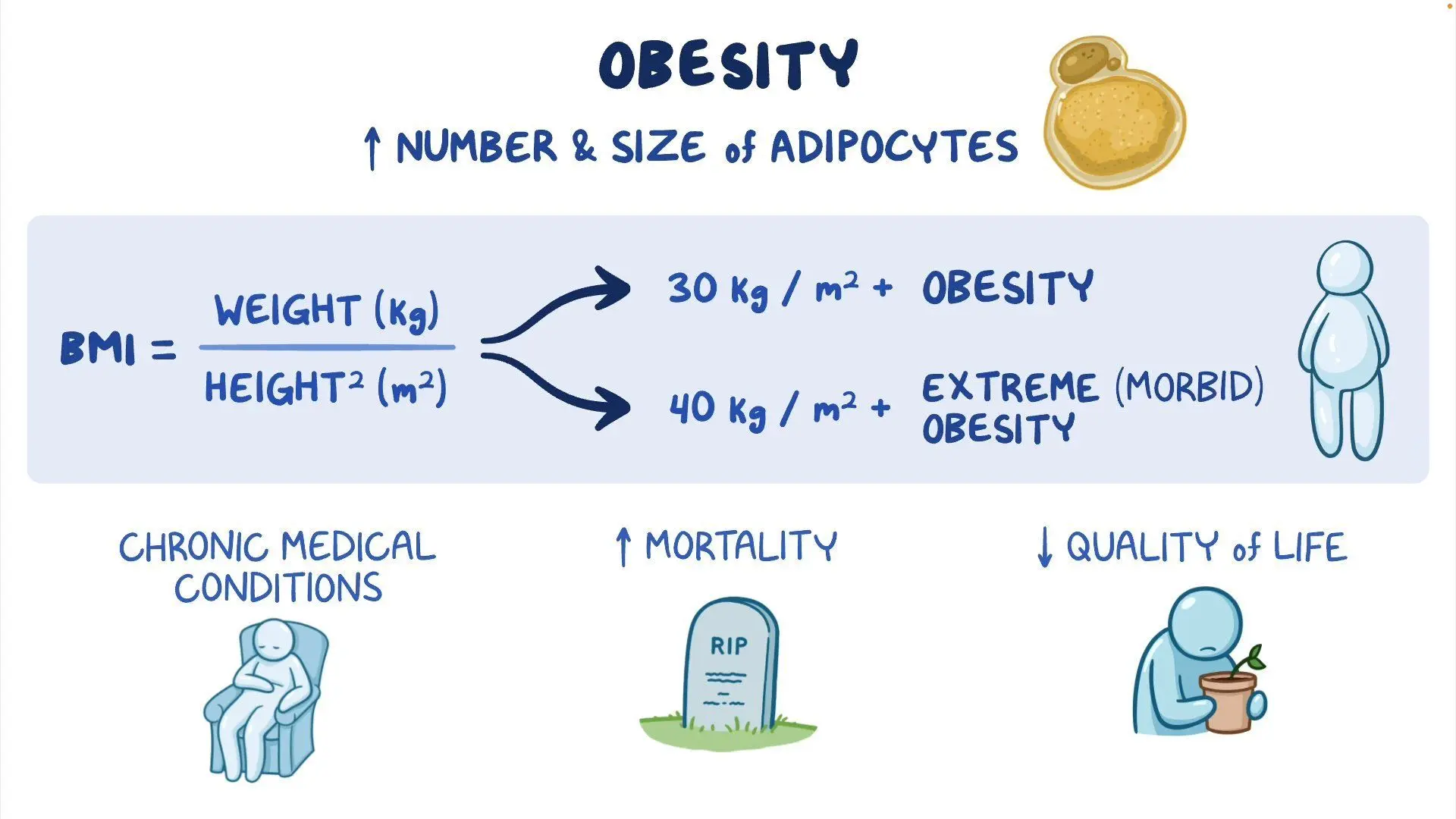 High Resolution Obesity Health Risks Excess Weight And Health Risks