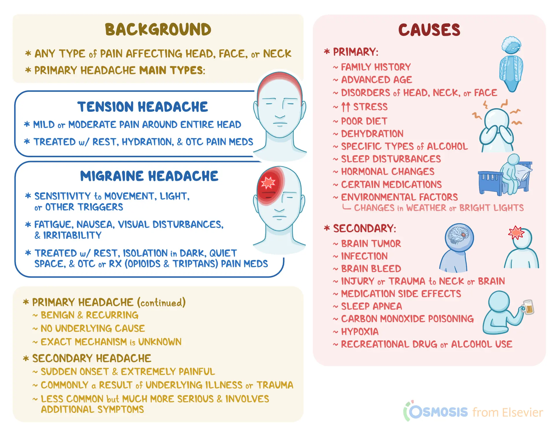 An infographic detailing Cephalgia