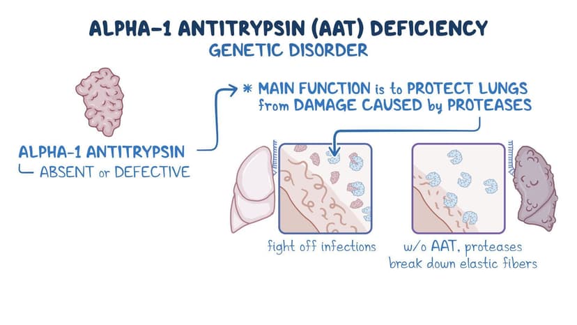 Alpha-1 antitrypsin deficiency: Year of the Zebra 2024: Video, Causes ...