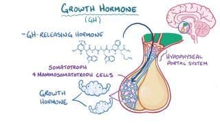 Hyperpituitarism and hypopituitarism Notes: Diagrams & Download PDF ...