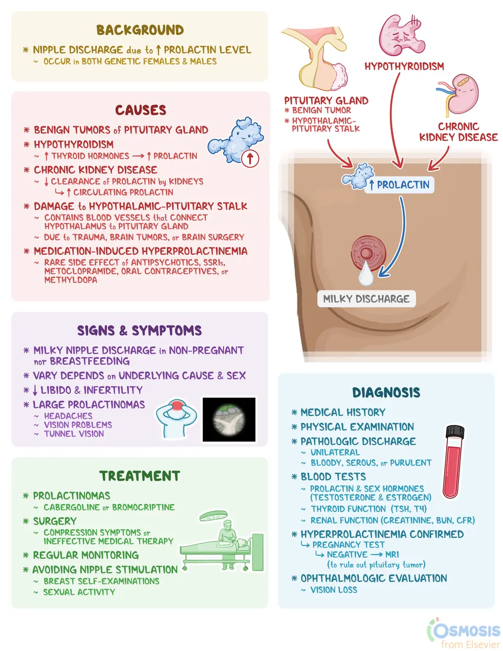 An infographic detailing galactorrhea