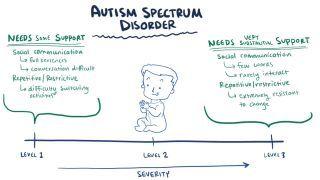 Autism spectrum disorder