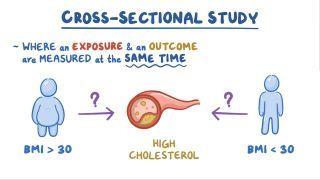Cross sectional study