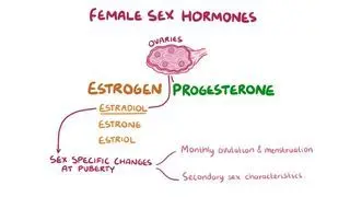Estrogen and progesterone