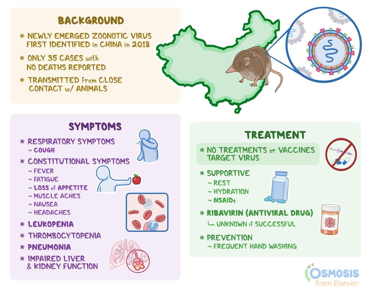 An infographic detailing the background, risk factors, symptoms, diagnosis, and treatments of Langya virus infection; including a map of China and a shrew.