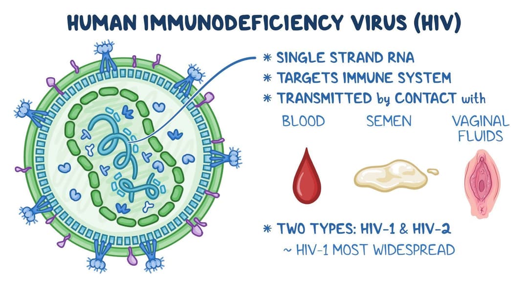 Human immunodeficiency virus (HIV) infection: Video & Meaning | Osmosis