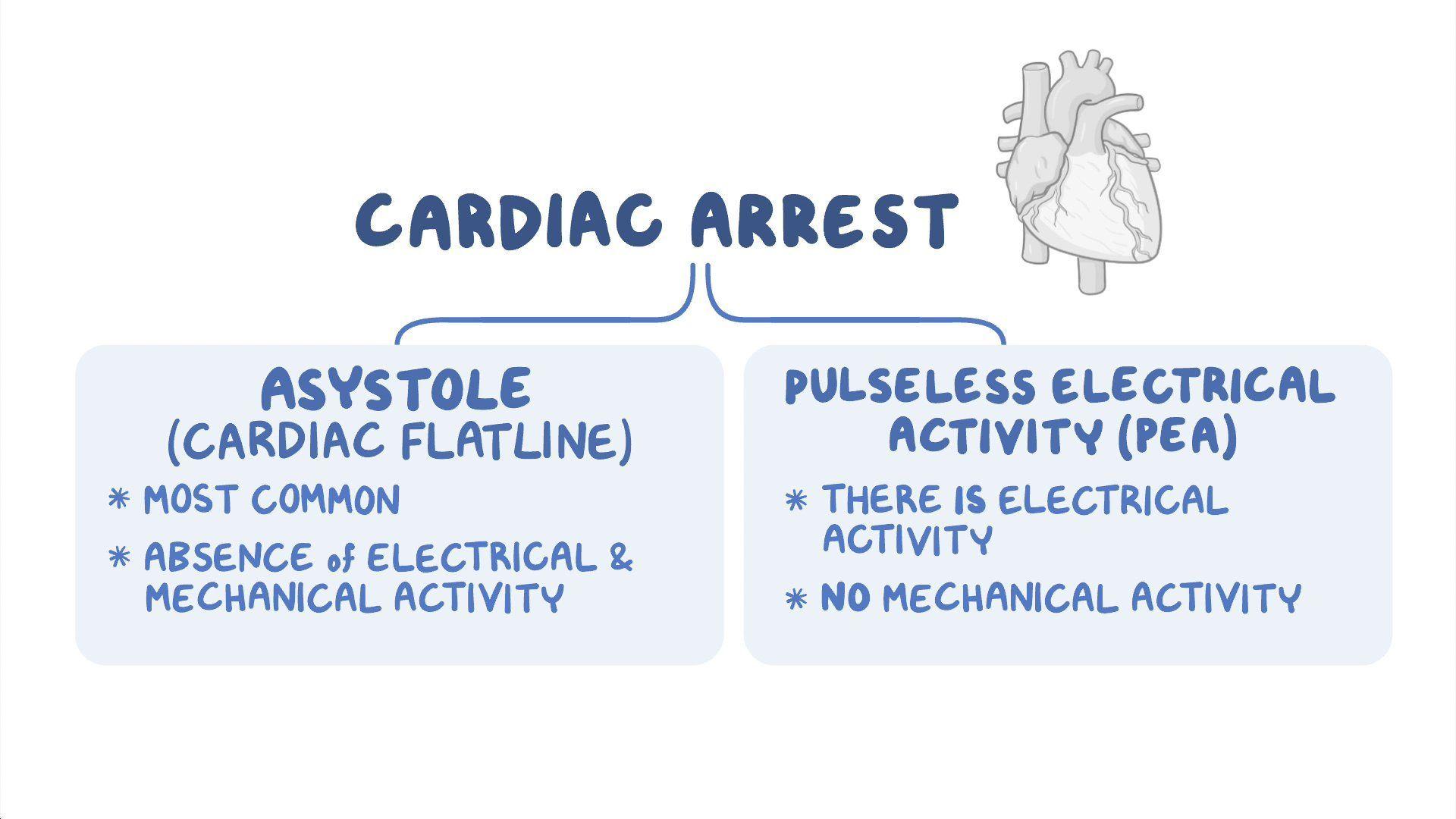 video-arrhythmias-asystole-nursing-osmosis