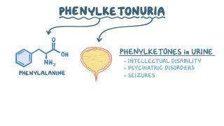Phenylketonuria (NORD)