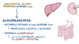 Video: Fatty acid synthesis | Osmosis
