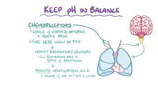 Metabolic alkalosis