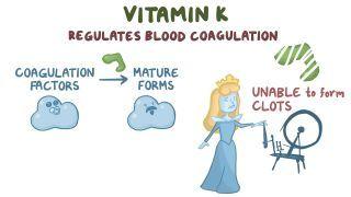 Role of Vitamin K in coagulation