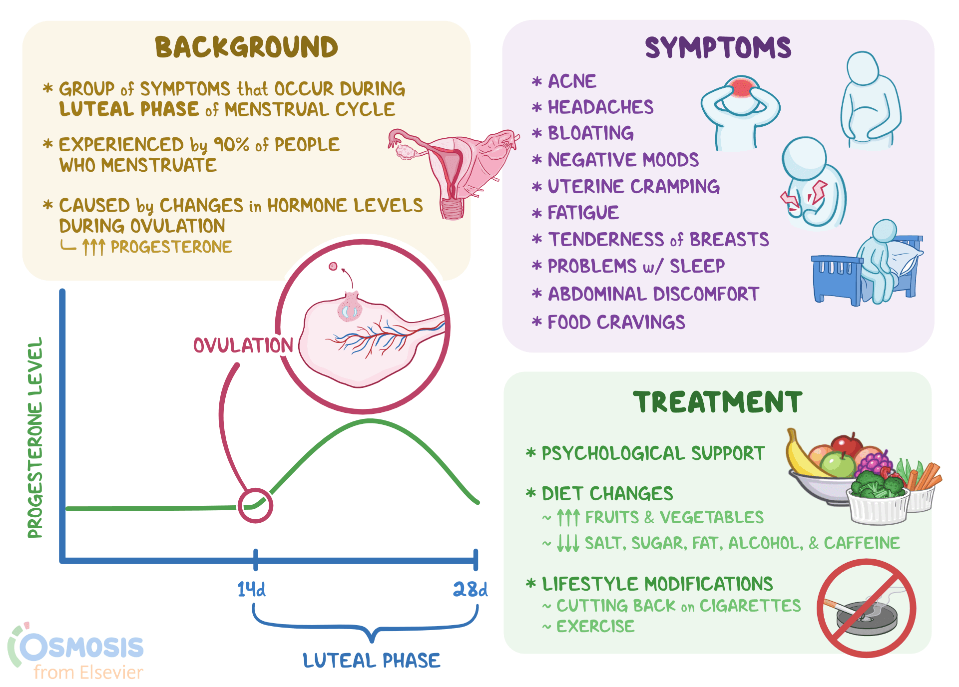 An infographic detailing molimina.