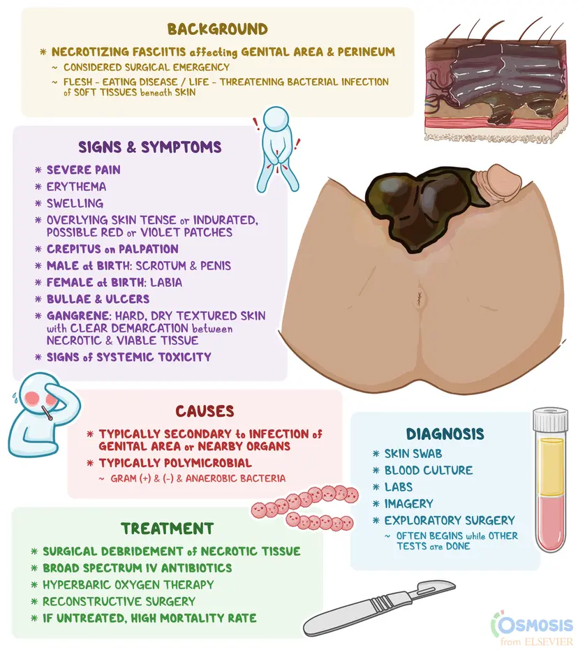 fournier-gangrene-what-is-it-causes-signs-and-symptoms-and-more