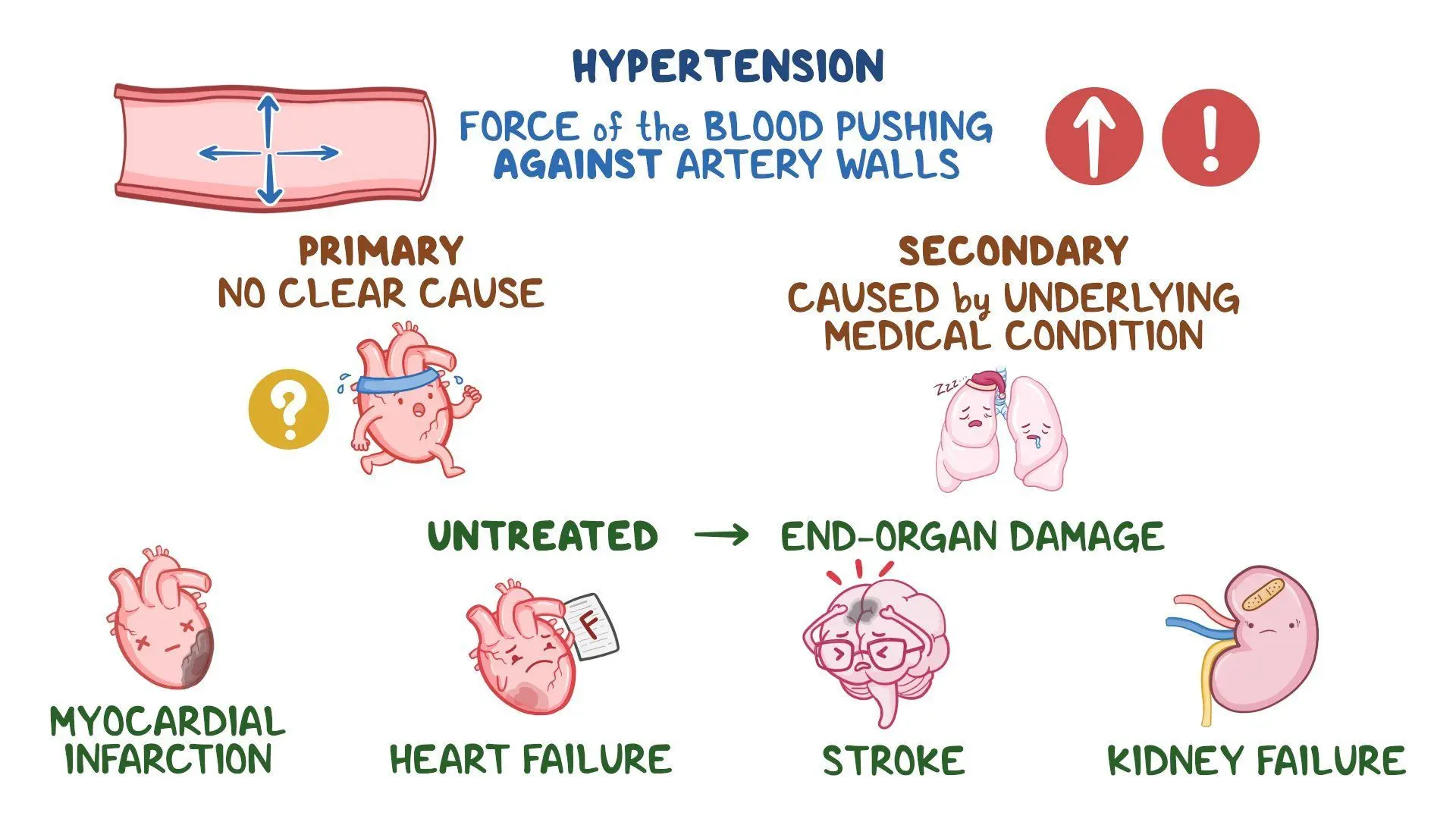 Hypertension (HTN): Vídeo, Anatomía & Definición | Osmosis