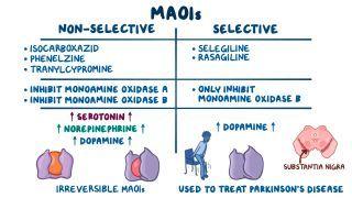 Monoamine oxidase inhibitors: Video, Causes, & Meaning