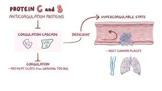 Protein C deficiency