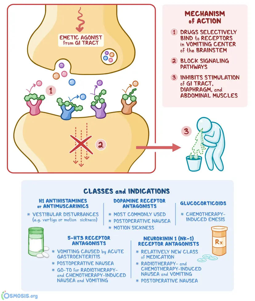 Antiemetics: What Are They, How Do They Work, What Are They Used For ...