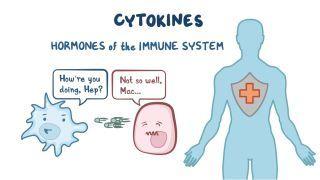 Cytokines