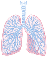 Respiratory