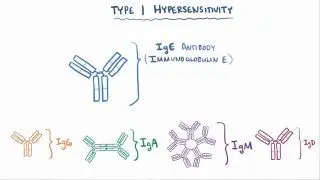 Type I hypersensitivity