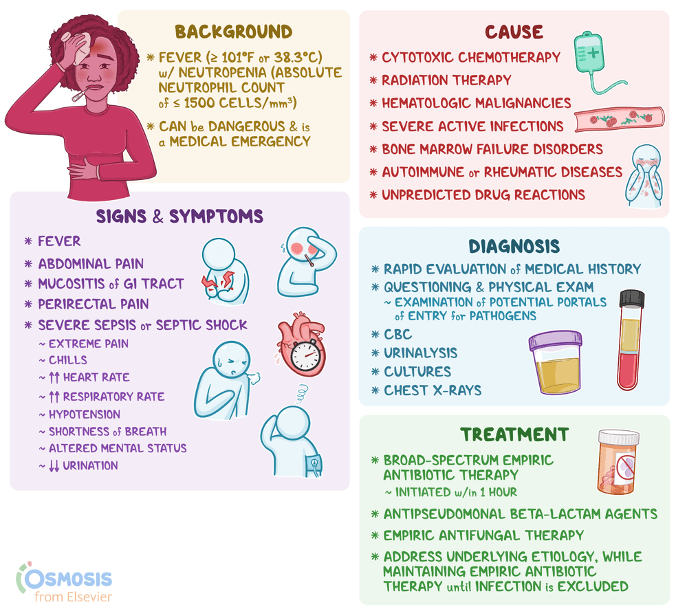 An infographic detailing Neutropenic Fever
