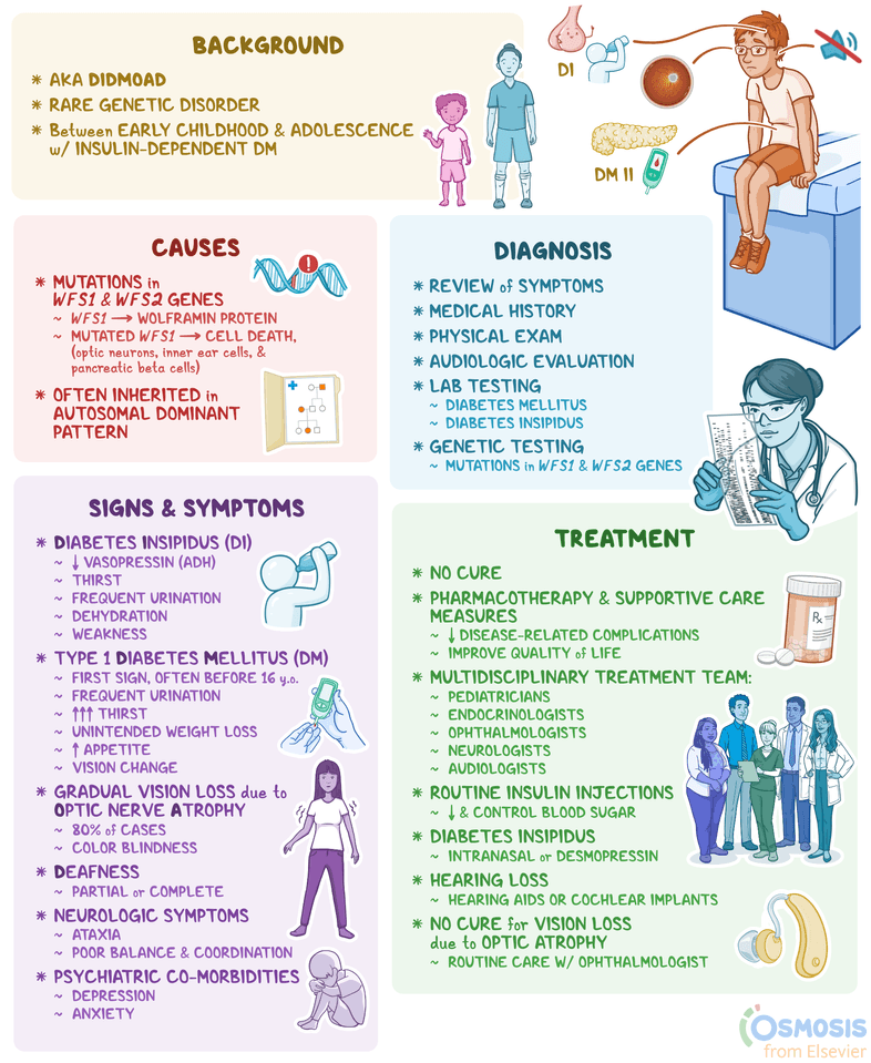 An infographic detailing Wolfram Syndrome