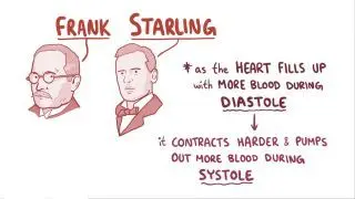 Frank-Starling relationship