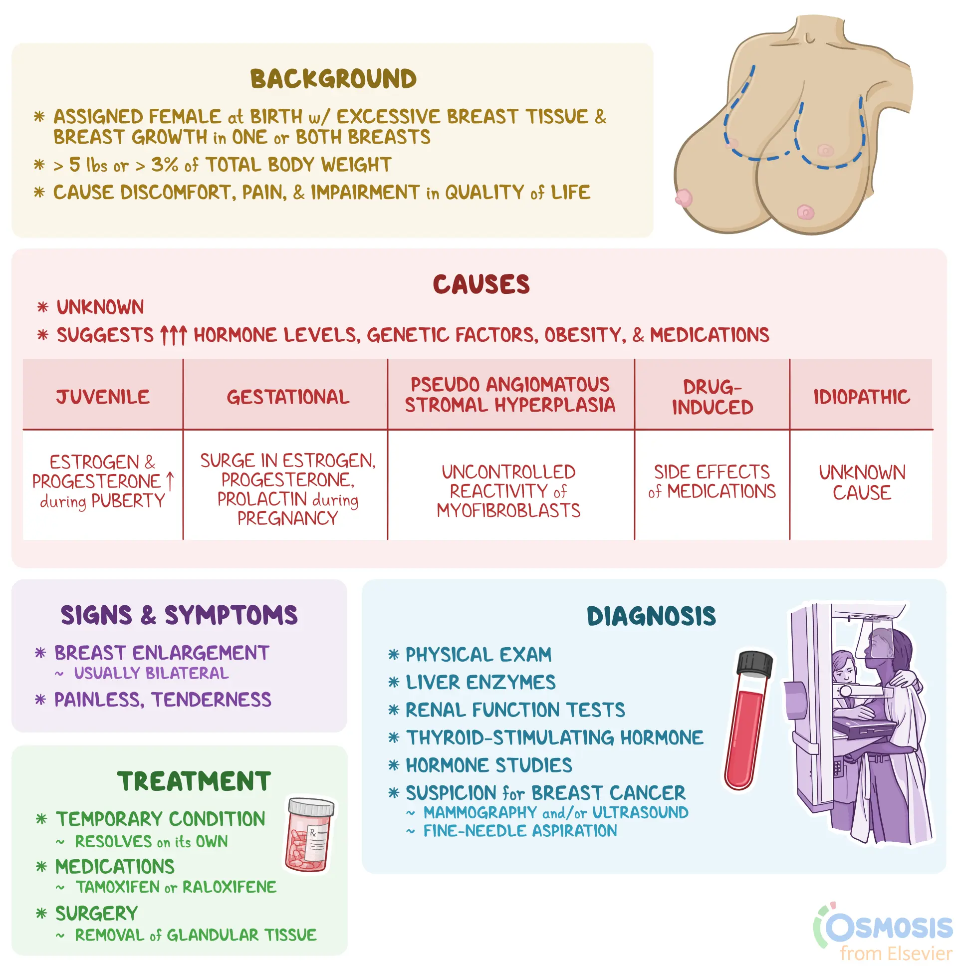 An infographic detailing gigantomastia