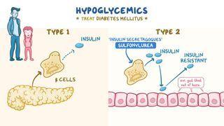 Hypoglycemics: Insulin secretagogues
