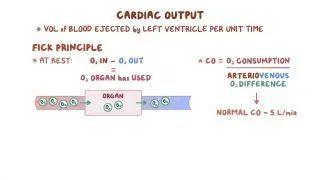 Measuring cardiac output (Fick principle)