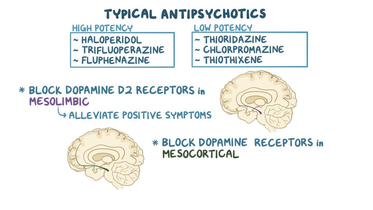 Typical antipsychotics: Video, Anatomy & Definition | Osmosis