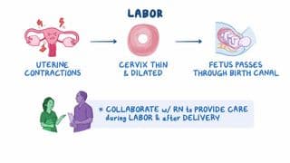 VEAL CHOP: Fetal Heart Rate Patterns Mnemonic | Osmosis