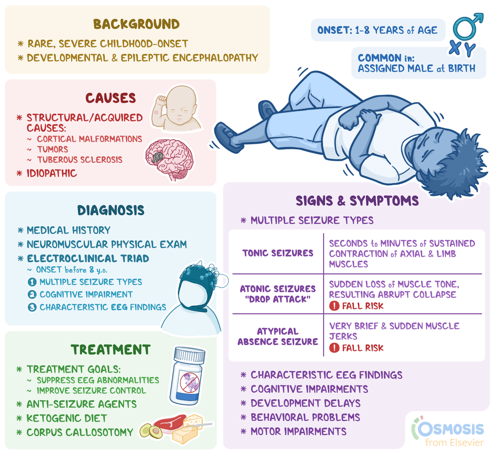 An infographic detailing pelizaeus-merzbacher disease