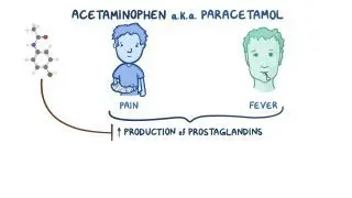 can glutathione cause fever Frontiers New Insights into the Role