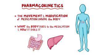 does l carnitine really work for weight loss L-Carnitine is Underrated. New Meta Review Reminds Us Why does l carnitine really work for weight loss L-Carnitine is Underrated. New Meta Review Reminds Us Why