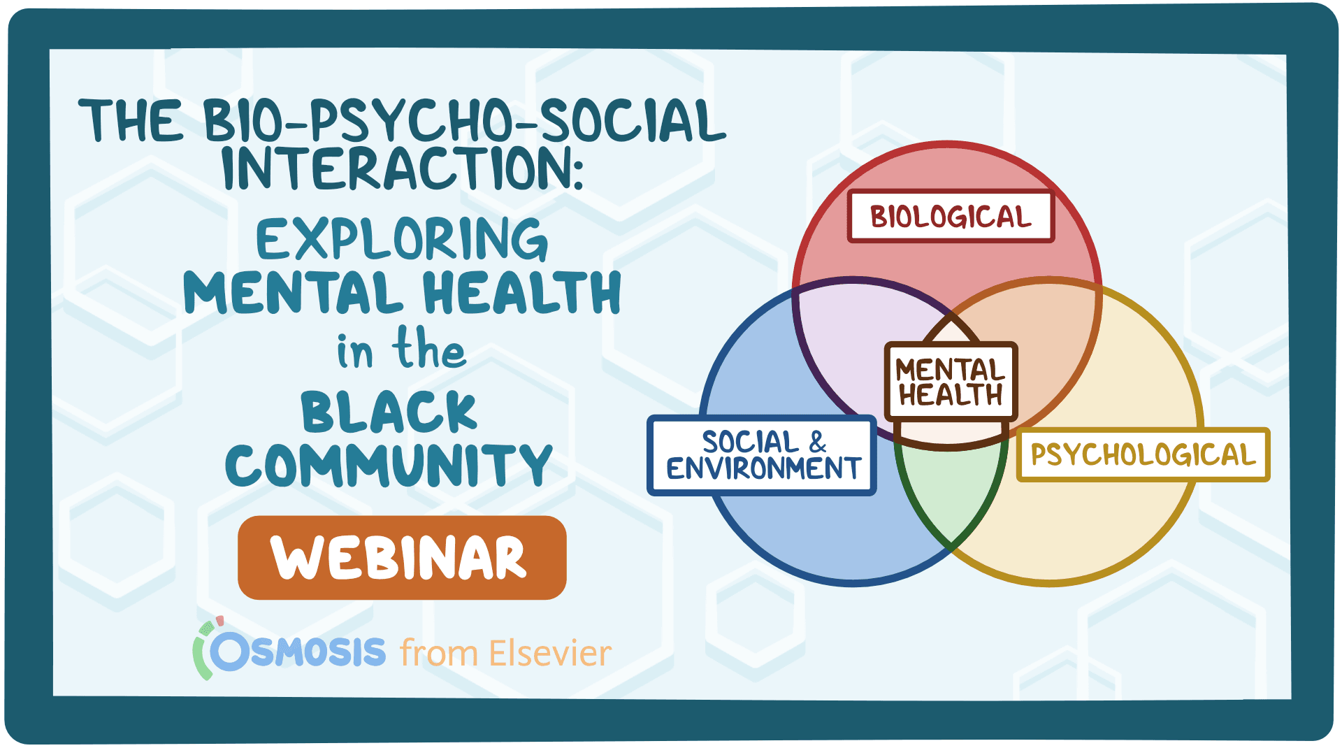 Event thumbnail for the The Bio-Psycho-Social Interaction: Exploring Mental Health in the Black Community webinar