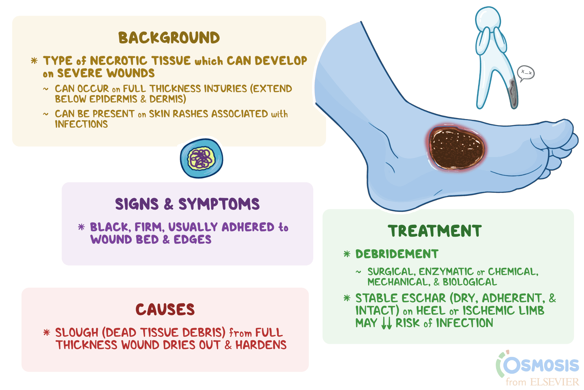 Eschar What It Is Causes Treatment And More Osmosis Eschar What It Is Causes Treatment And More Osmosis