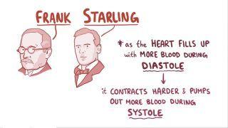 Cardiac Cycle Notes: Diagrams & Download PDF | Osmosis
