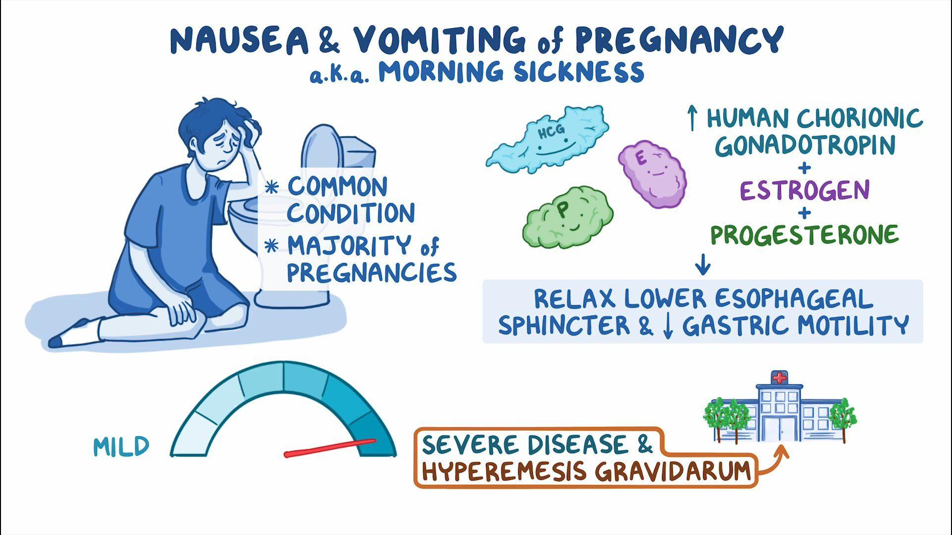 Nausea And Vomiting Of Pregnancy Clinical Sciences Osmosis Video Library Nausea And Vomiting Of Pregnancy Clinical Sciences Osmosis Video Library