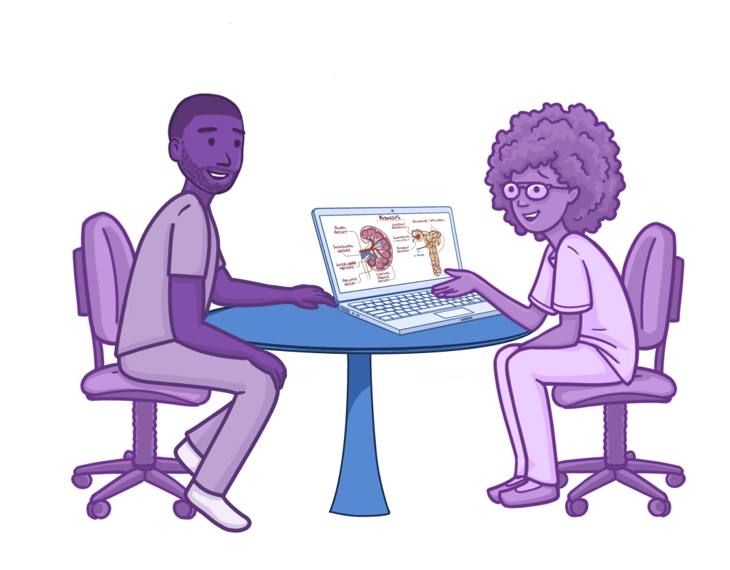 **Alt text:**
Illustration of a mentor and learner seated across from each other at a table, reviewing kidney anatomy on a laptop together. The mentor gestures toward the screen while the learner listens, representing one-on-one teaching, mentorship, and collaborative learning in a healthcare education setting.